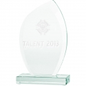 Tryumf 3D engraved glass trophy with case Tryumf 3D engraved glass trophy with case