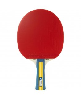 TABLE TENNIS PATTERN JOOLA TEAM CHAMPION