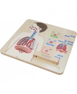 MASTERKIDZ educational board, breathing system