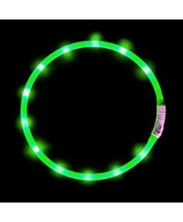 Anicoll LED Collar for Dogs and Cats Green