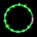 Anicoll LED Collar for Dogs and Cats Green