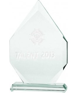 Tryumf 3D engraved glass trophy with case