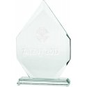 Tryumf 3D engraved glass trophy with case