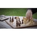 Millennium M828 chess/checkers Chess set Desktop English