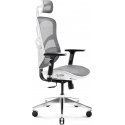 Diablo Chairs Diablo V-Basic Baltai-Pilka