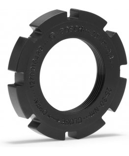 Bosch lock ring 1270016489