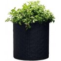 Keter S+M+LCYLINDER PLANTERS, 230217