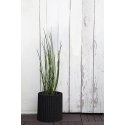 Keter S+M+LCYLINDER PLANTERS, 230217