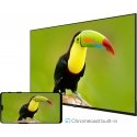 ProCaster LE-43SL702H 43" Full HD Android LED -televisio
