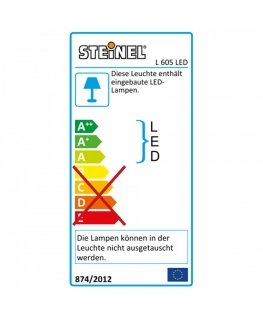Steinel L605 ANT Outdoor Light