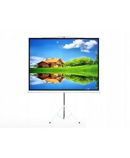 Projector screen 100&39&39 / portable/ Fixed / 4:3 200x150