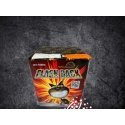 Fireworks "Flash Back" 4779044581771