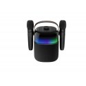 ProCaster Upbeat karaoke speaker with two microphones