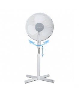 First Austria FA-5553-1 White