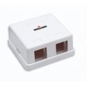Intellinet 162852 outlet box White Intellinet 162852 outlet box White