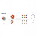 Colorful gears Masterkidz STEM