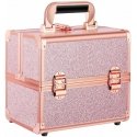 Osom Professional Case for cosmetics, pink OSOMP8316RG