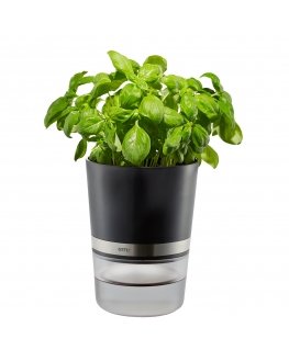 GEFU BOTANICO Ürdipott Eraldiseisev Plast, Roostevaba teras Must