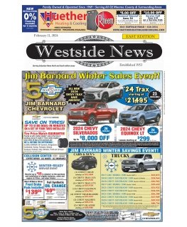 RoGer Electric Cleaning Brushes 5 pcs.