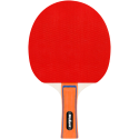 Set of table tennis rackets with net REBEL ACTIVE